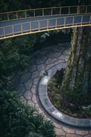 break by the supertree