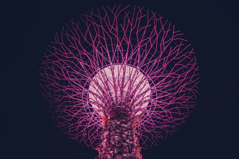 Supertree Glow