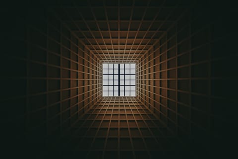 Where the Light Is