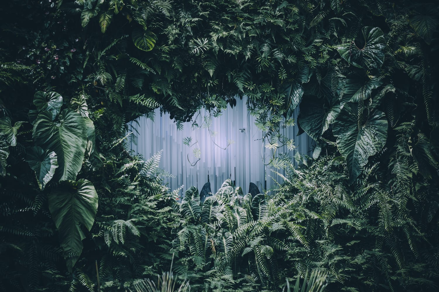 botanic portal