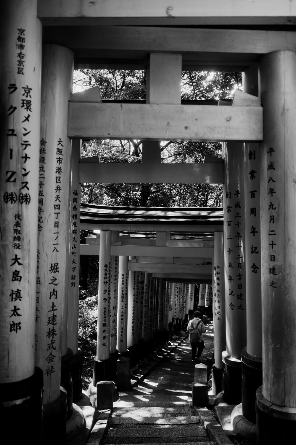 path of torii
