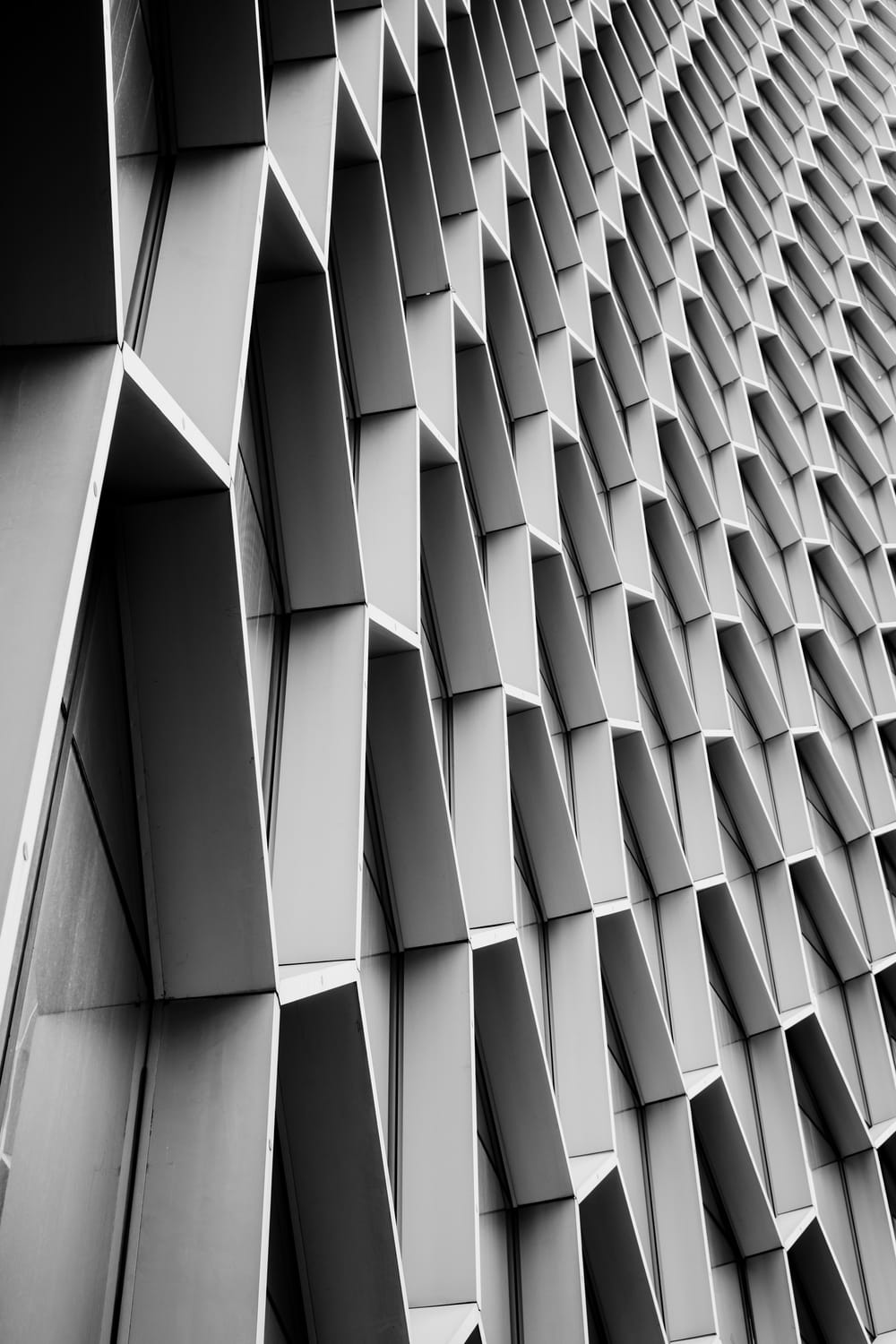 the hive