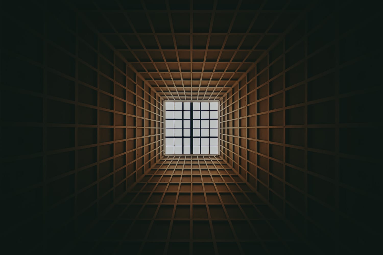 where the light is